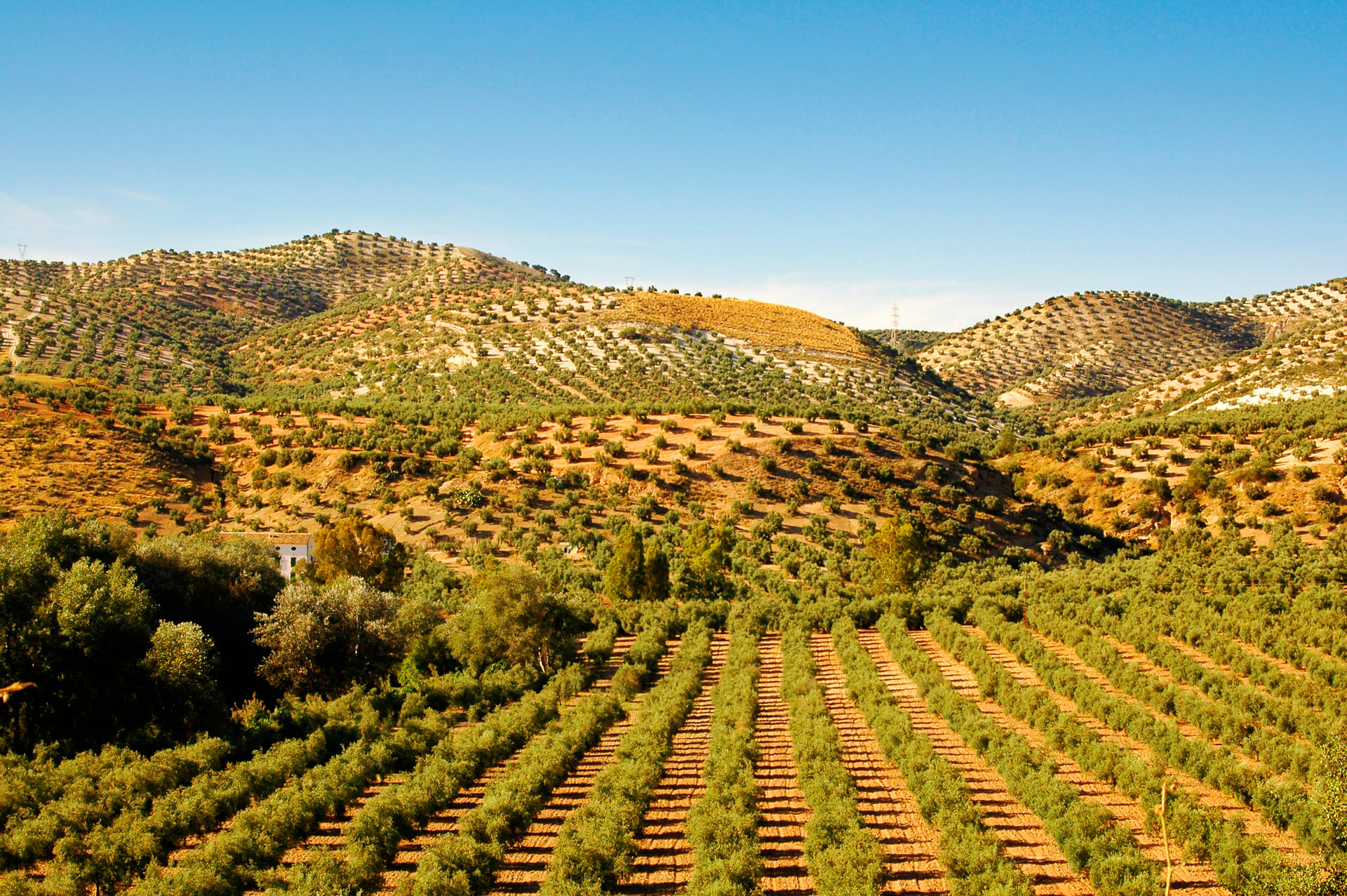 Qué es el turismo rural