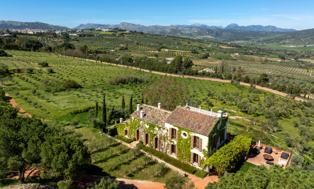 El Cortijo LA Almazara