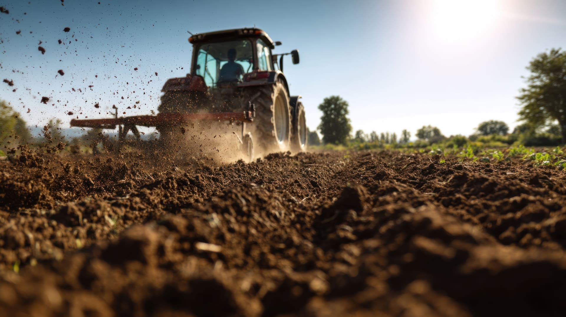 Todo sobre la agricultura ecológica y sus consecuencias